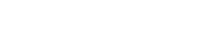 Logo Team Spirit