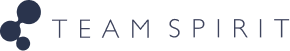 Logo Team Spirit
